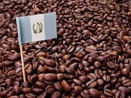 GUATEMELA KAHVE