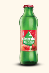 DAMLA MEYVELİ SODA